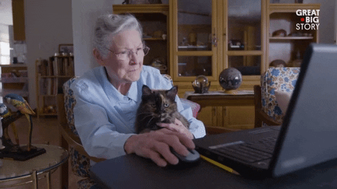 Elderly woman browses the internet with her cat on her lap